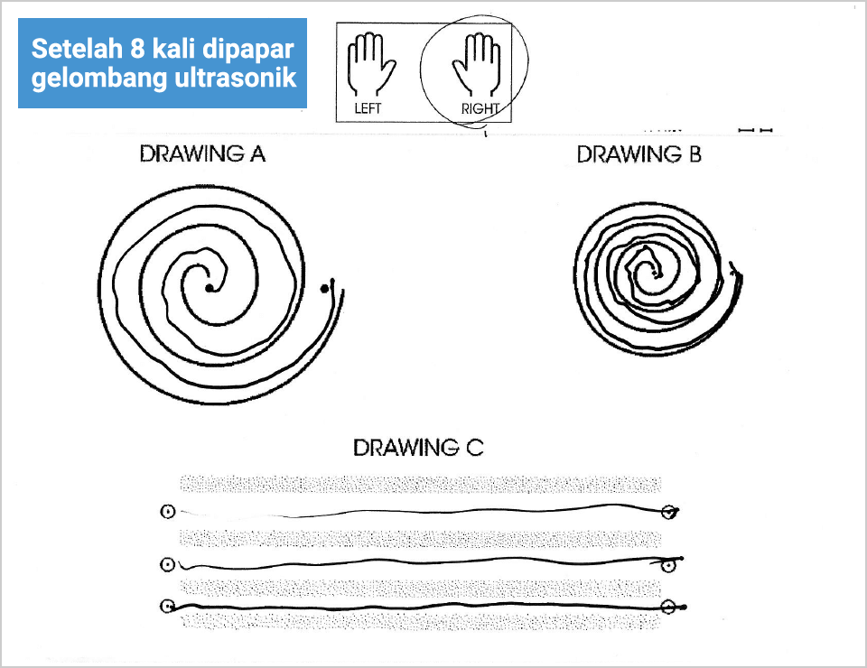 Setelah 8 kali dipapar gelombang ultrasonik